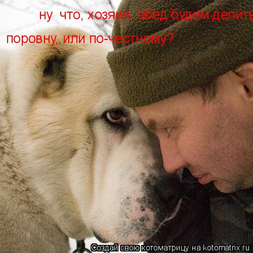 ну что, хозяин, обед будем делить поровну, или по-честному? поровну, или по-честному?... Котоматрица: ну что, хозяин, обед будем делить поровну, или по-честному? поровну, или по-честному?