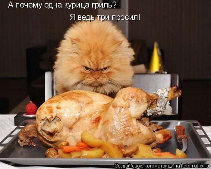 А почему одна курица гриль? Я ведь три просил!... Котоматрица: А почему одна курица гриль? Я ведь три просил!