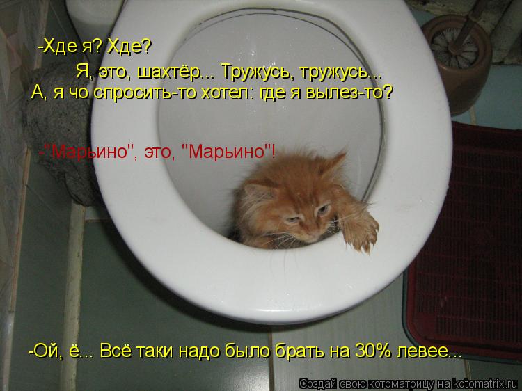 -Хде я? Хде? Я, это, шахтёр... Тружусь, тружусь... А, я чо спросить-то хотел: где я вылез-то? -"Марьи... Котоматрица: -Хде я? Хде? Я, это, шахтёр... Тружусь, тружусь... А, я чо спросить-то хотел: где я вылез-то? -"Марьино", это, "Марьино"! -Ой, ё... Всё таки надо было