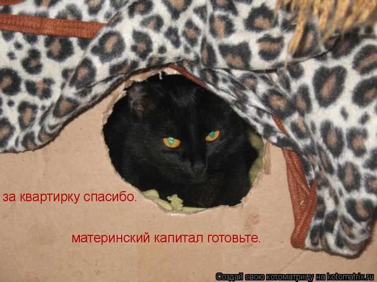 за квартирку спасибо. материнский капитал готовьте.... Котоматрица: за квартирку спасибо. материнский капитал готовьте.