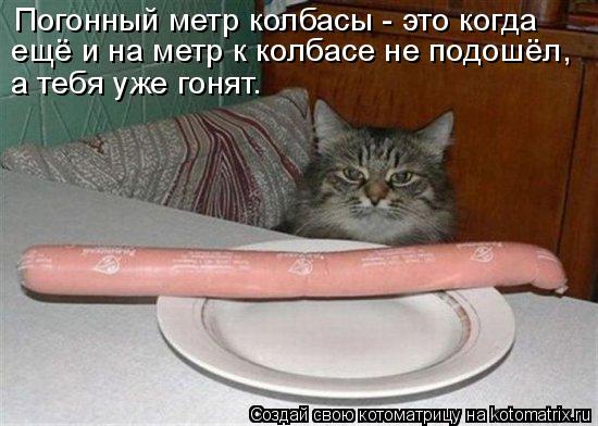Погонный метр колбасы - это когда ещё и на метр к колбасе не подошёл, а тебя уже гонят.... Котоматрица: Погонный метр колбасы - это когда ещё и на метр к колбасе не подошёл, а тебя уже гонят.