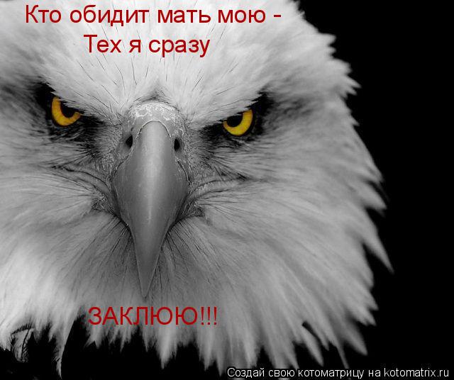 Кто обидит мать мою - Тех я сразу ЗАКЛЮЮ!!!... Котоматрица: Кто обидит мать мою - Тех я сразу ЗАКЛЮЮ!!!