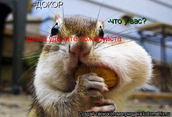 -ДОКОР -что у вас? флюз удалите пожалуйста... Котоматрица: -ДОКОР -что у вас? флюз удалите пожалуйста