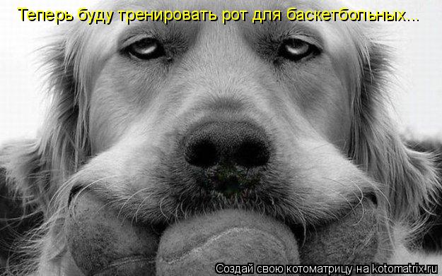 Теперь буду тренировать рот для баскетбольных...... Котоматрица: Теперь буду тренировать рот для баскетбольных...