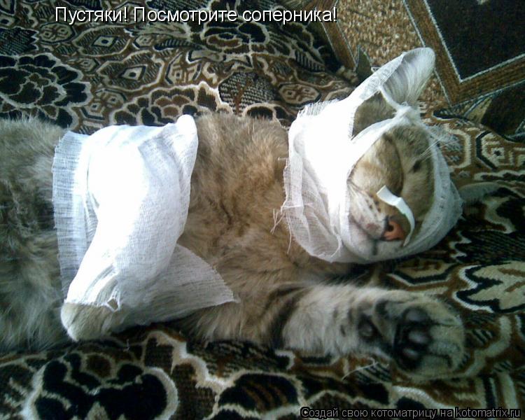 Пустяки! Посмотрите соперника!... Котоматрица: Пустяки! Посмотрите соперника!