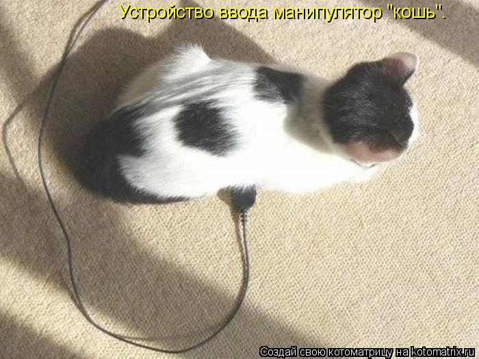 Устройство ввода манипулятор "кошь".... Котоматрица: Устройство ввода манипулятор "кошь".