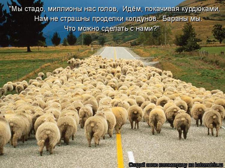 "Мы стадо, миллионы нас голов, Идём, покачивая курдюками, Нам не страшны проделки колдунов. Бараны ... Котоматрица: "Мы стадо, миллионы нас голов, Идём, покачивая курдюками, Нам не страшны проделки колдунов. Бараны мы. Что можно сделать с нами?"
