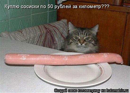Куплю сосиски по 50 рублей за километр???... Котоматрица: Куплю сосиски по 50 рублей за километр???