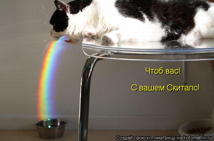 С вашем Скиталс! Чтоб вас!... Котоматрица: С вашем Скиталс! Чтоб вас!