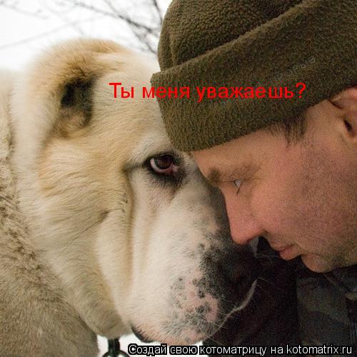 Ты меня уважаешь?... Котоматрица: Ты меня уважаешь?