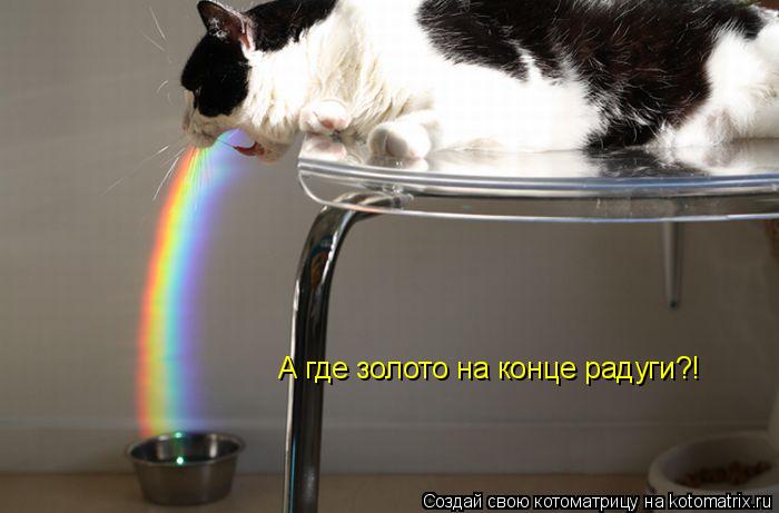 А где золото на конце радуги?!... Котоматрица: А где золото на конце радуги?!