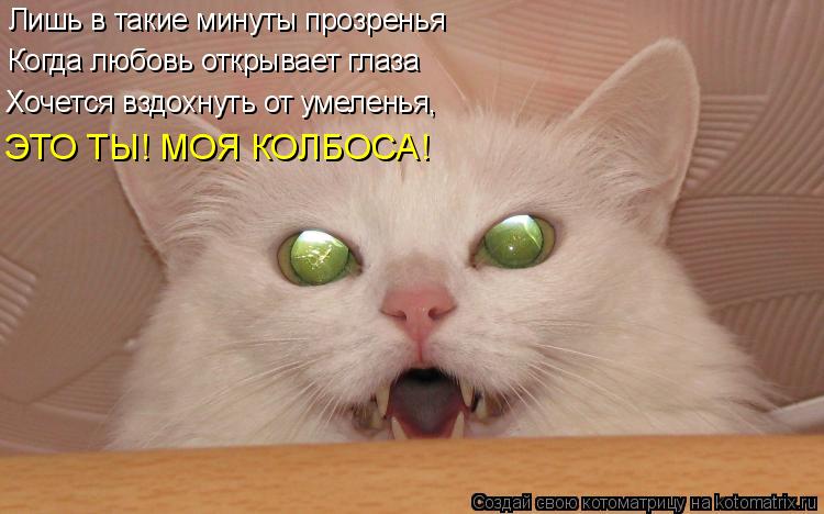 Лишь в такие минуты прозренья Когда любовь открывает глаза Хочется вздохнуть от умеленья, ЭТО ТЫ! МОЯ... Котоматрица: Лишь в такие минуты прозренья Когда любовь открывает глаза Хочется вздохнуть от умеленья, ЭТО ТЫ! МОЯ КОЛБОСА!