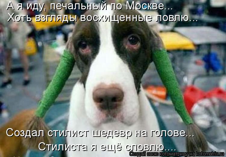 А я иду, печальный по Москве... Хоть взгляды восхищенные ловлю... Создал стилист шедевр на голове... ... Котоматрица: А я иду, печальный по Москве... Хоть взгляды восхищенные ловлю... Создал стилист шедевр на голове... Стилиста я ещё словлю....