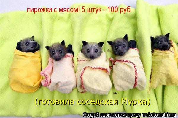 пирожки с мясом! 5 штук - 100 руб. (готовила соседская Мурка)... Котоматрица: пирожки с мясом! 5 штук - 100 руб. (готовила соседская Мурка)