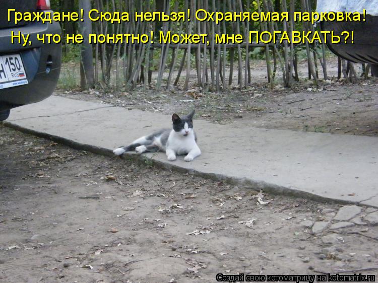 Граждане! Сюда нельзя! Охраняемая парковка! Ну, что не понятно! Может, мне ПОГАВКАТЬ?!... Котоматрица: Граждане! Сюда нельзя! Охраняемая парковка! Ну, что не понятно! Может, мне ПОГАВКАТЬ?!