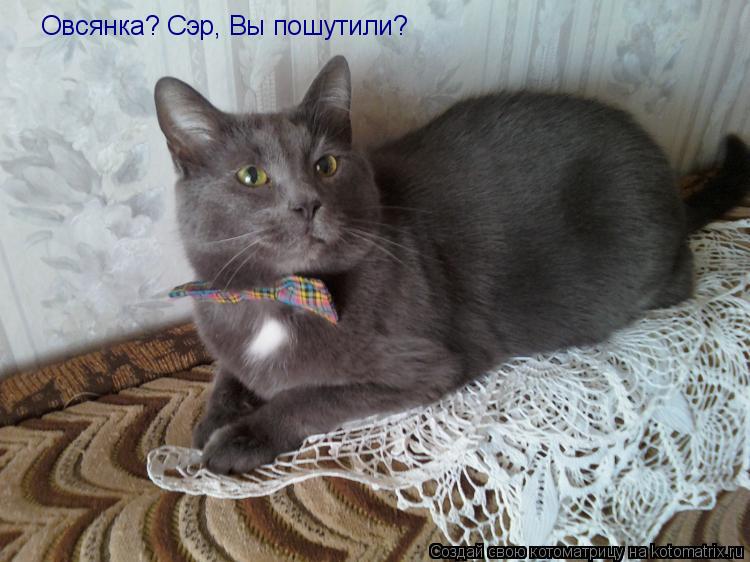 Овсянка? Сэр, Вы пошутили?... Котоматрица: Овсянка? Сэр, Вы пошутили?