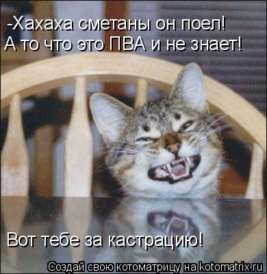 -Хахаха сметаны он поел! А то что это ПВА и не знает! Вот тебе за кастрацию!... Котоматрица: -Хахаха сметаны он поел! А то что это ПВА и не знает! Вот тебе за кастрацию!