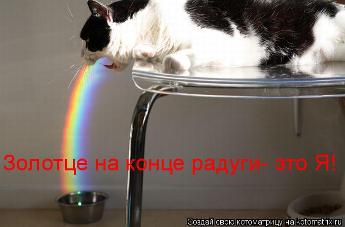 Золотце на конце радуги- это Я!... Котоматрица: Золотце на конце радуги- это Я!