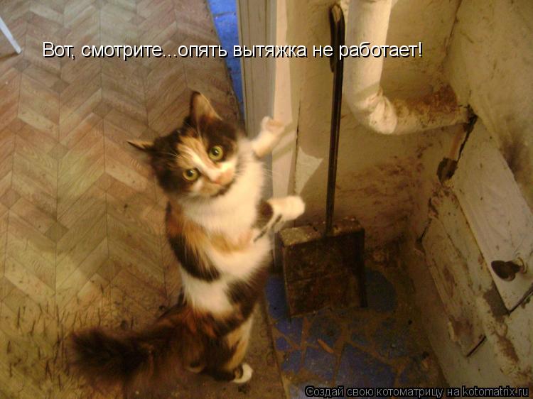 Вот, смотрите...опять вытяжка не работает!... Котоматрица: Вот, смотрите...опять вытяжка не работает!
