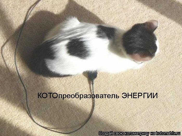 КОТОпреобразователь ЭНЕРГИИ... Котоматрица: КОТОпреобразователь ЭНЕРГИИ