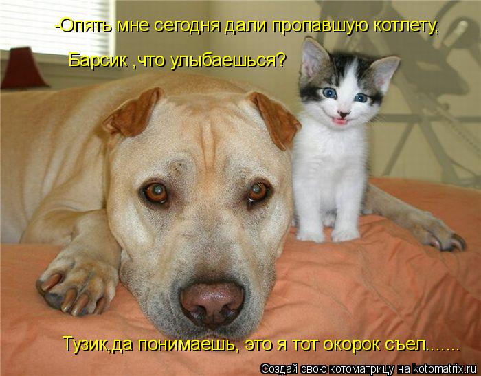 -Опять мне сегодня дали пропавшую котлету, Барсик ,что улыбаешься? Тузик,да понимаешь, это я тот окор... Котоматрица: -Опять мне сегодня дали пропавшую котлету, Барсик ,что улыбаешься? Тузик,да понимаешь, это я тот окорок съел.......