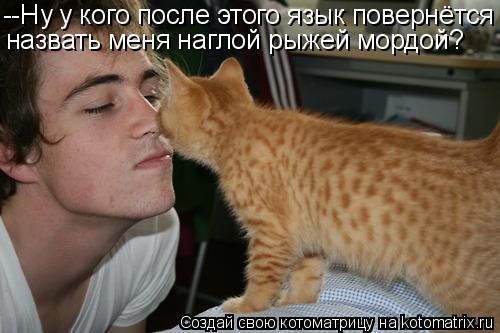 --Ну у кого после этого язык повернётся назвать меня наглой рыжей мордой?... Котоматрица: --Ну у кого после этого язык повернётся назвать меня наглой рыжей мордой?