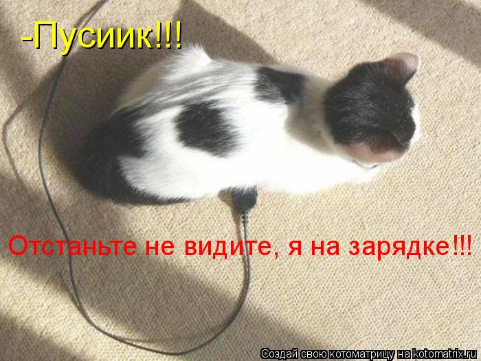 -Пусиик!!! Отстаньте не видите, я на зарядке!!!... Котоматрица: -Пусиик!!! Отстаньте не видите, я на зарядке!!!