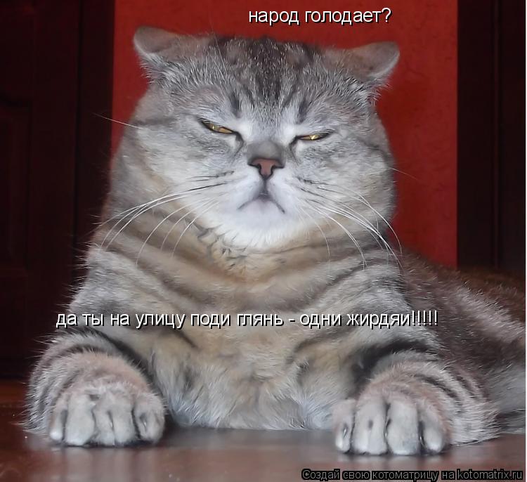 народ голодает? да ты на улицу поди глянь - одни жирдяи!!!!!... Котоматрица: народ голодает? да ты на улицу поди глянь - одни жирдяи!!!!!