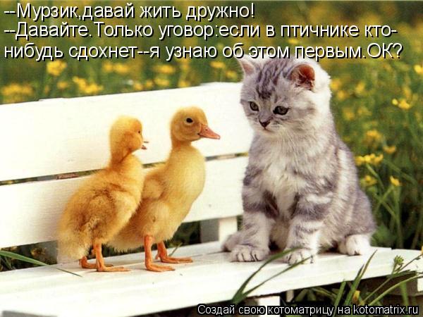 --Мурзик,давай жить дружно! --Давайте.Только уговор:если в птичнике кто- нибудь сдохнет--я узнаю об э... Котоматрица: --Мурзик,давай жить дружно! --Давайте.Только уговор:если в птичнике кто- нибудь сдохнет--я узнаю об этом первым.ОК?