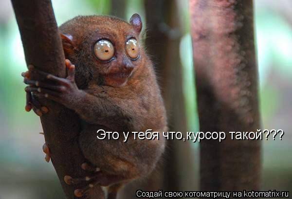 Это у тебя что,курсор такой???... Котоматрица: Это у тебя что,курсор такой???