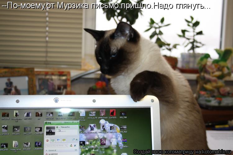--По-моему,от Мурзика письмо пришло.Надо глянуть...... Котоматрица: --По-моему,от Мурзика письмо пришло.Надо глянуть...
