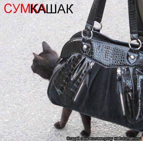 СУМКА КАШАК... Котоматрица: СУМКА КАШАК