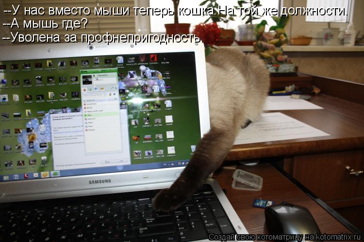 --У нас вместо мыши теперь кошка.На той же должности. --А мышь где? --Уволена за профнепригодность.... Котоматрица: --У нас вместо мыши теперь кошка.На той же должности. --А мышь где? --Уволена за профнепригодность.