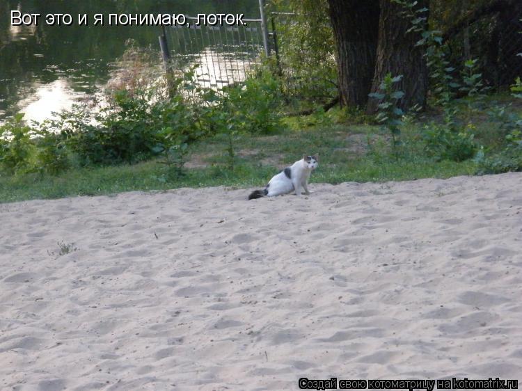 Вот это и я понимаю, лоток.... Котоматрица: Вот это и я понимаю, лоток.