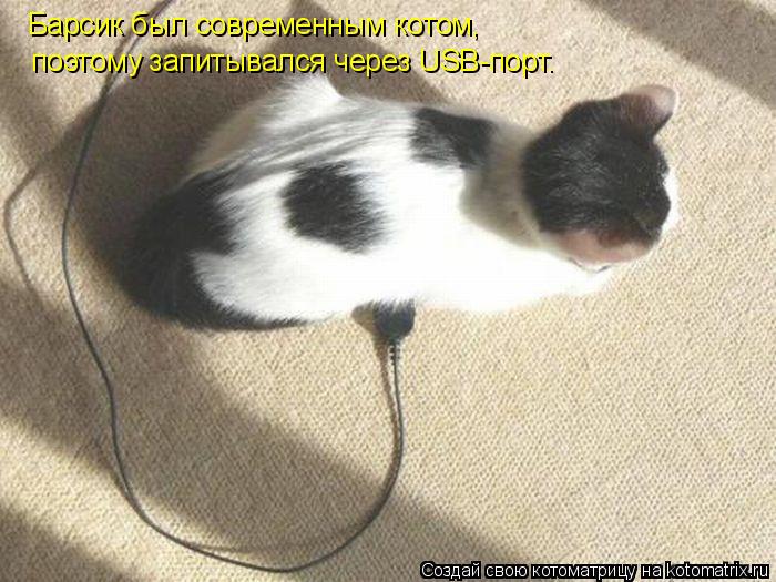 Барсик был современным котом, поэтому запитывался через USB-порт.... Котоматрица: Барсик был современным котом, поэтому запитывался через USB-порт.
