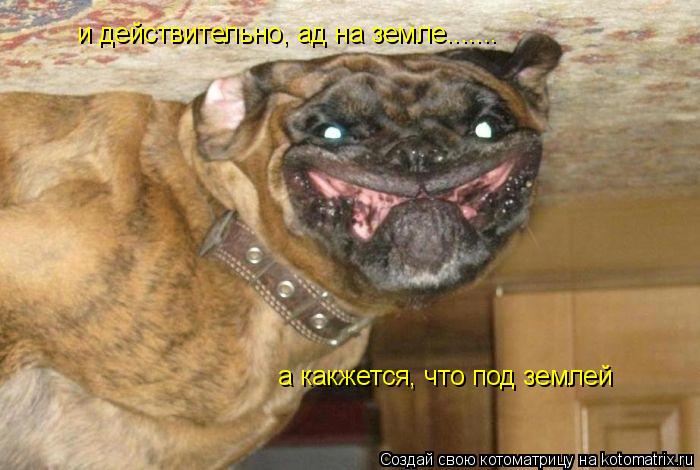 и действительно, ад на земле....... а какжется, что под землей... Котоматрица: и действительно, ад на земле....... а какжется, что под землей