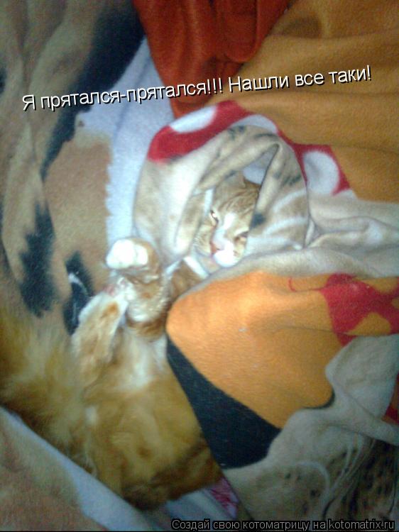 Я прятался-прятался!!! Нашли все таки!... Котоматрица: Я прятался-прятался!!! Нашли все таки!