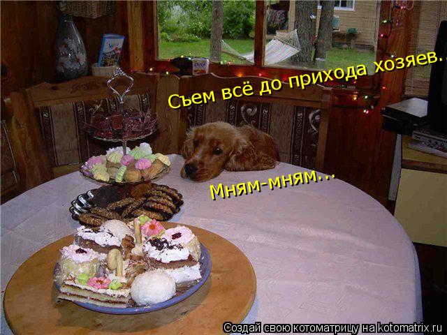 Съем всё до прихода хозяев... Мням-мням...... Котоматрица: Съем всё до прихода хозяев... Мням-мням...