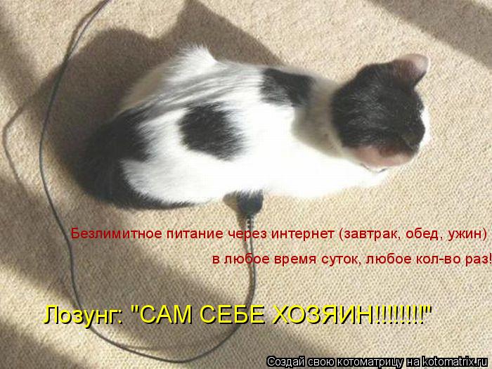 Безлимитное питание через интернет (завтрак, обед, ужин) в любое время суток, любое кол-во раз! Лозун... Котоматрица: Безлимитное питание через интернет (завтрак, обед, ужин) в любое время суток, любое кол-во раз! Лозунг: "САМ СЕБЕ ХОЗЯИН!!!!!!!!"