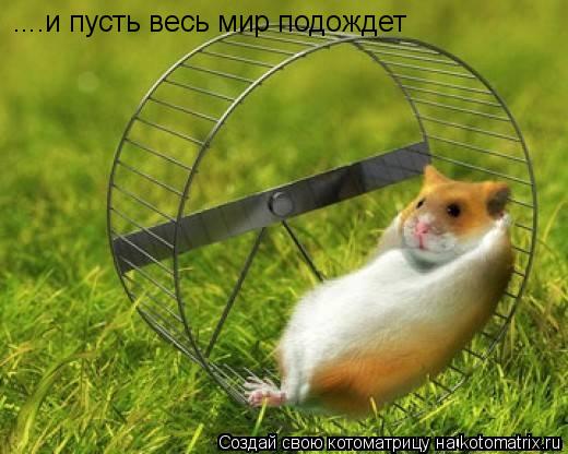 ....и пусть весь мир подождет... Котоматрица: ....и пусть весь мир подождет