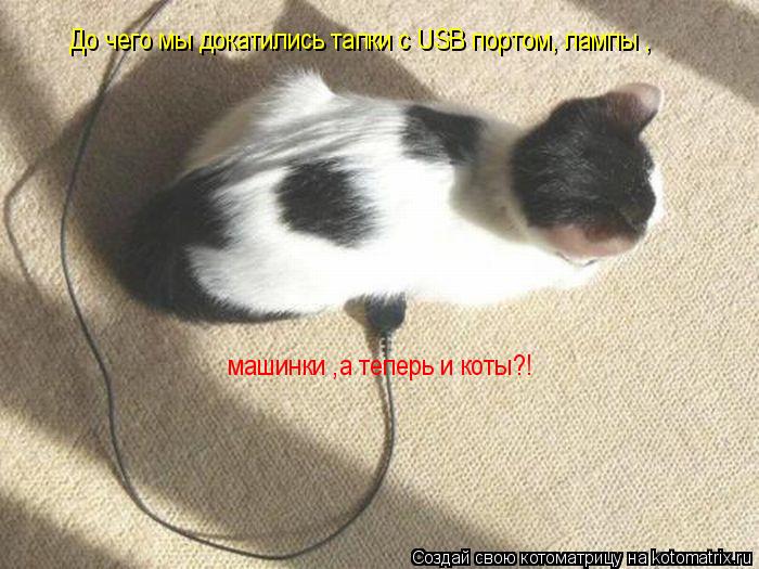 До чего мы докатились тапки с USB портом, лампы , машинки ,а теперь и коты?!... Котоматрица: До чего мы докатились тапки с USB портом, лампы , машинки ,а теперь и коты?!