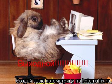 Выходной!!!!!!!!!!!!!!... Котоматрица: Выходной!!!!!!!!!!!!!!
