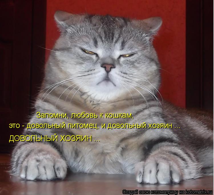 Запомни, любовь к кошкам, это - довольный питомец, и довольный хозяин ... ДОВОЛЬНЫЙ ХОЗЯИН ...... Котоматрица: Запомни, любовь к кошкам, это - довольный питомец, и довольный хозяин ... ДОВОЛЬНЫЙ ХОЗЯИН ...