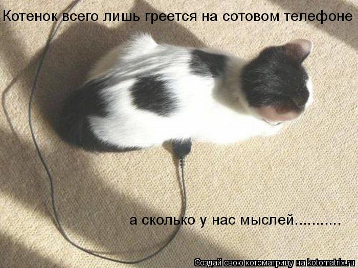 Котенок всего лишь греется на сотовом телефоне а сколько у нас мыслей.............. Котоматрица: Котенок всего лишь греется на сотовом телефоне а сколько у нас мыслей...........
