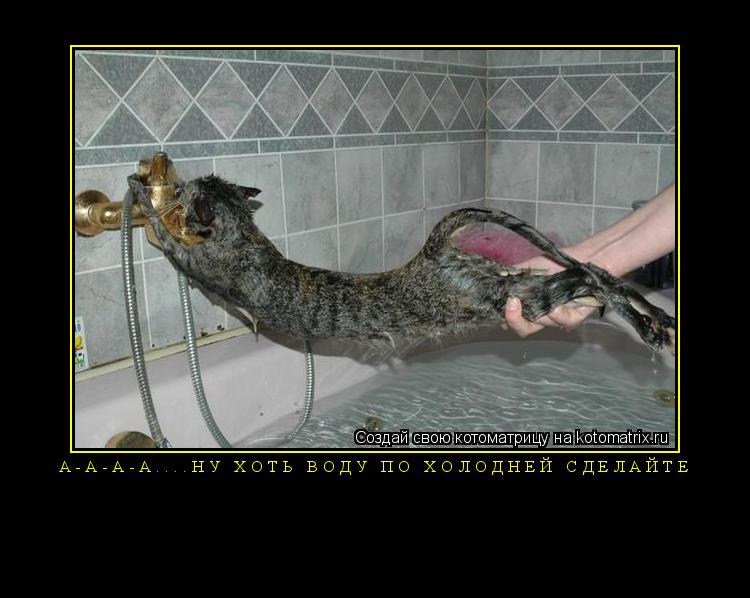 А-а-а-а....ну хоть воду по холодней сделайте ... Котоматрица: А-а-а-а....ну хоть воду по холодней сделайте