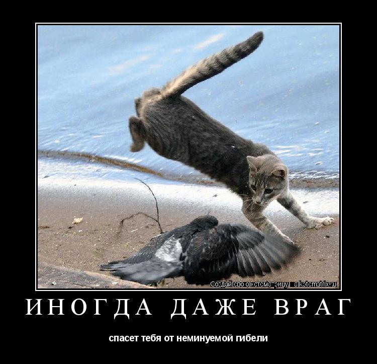иногда даже враг спасет тебя от неминуемой гибели... Котоматрица: иногда даже враг спасет тебя от неминуемой гибели
