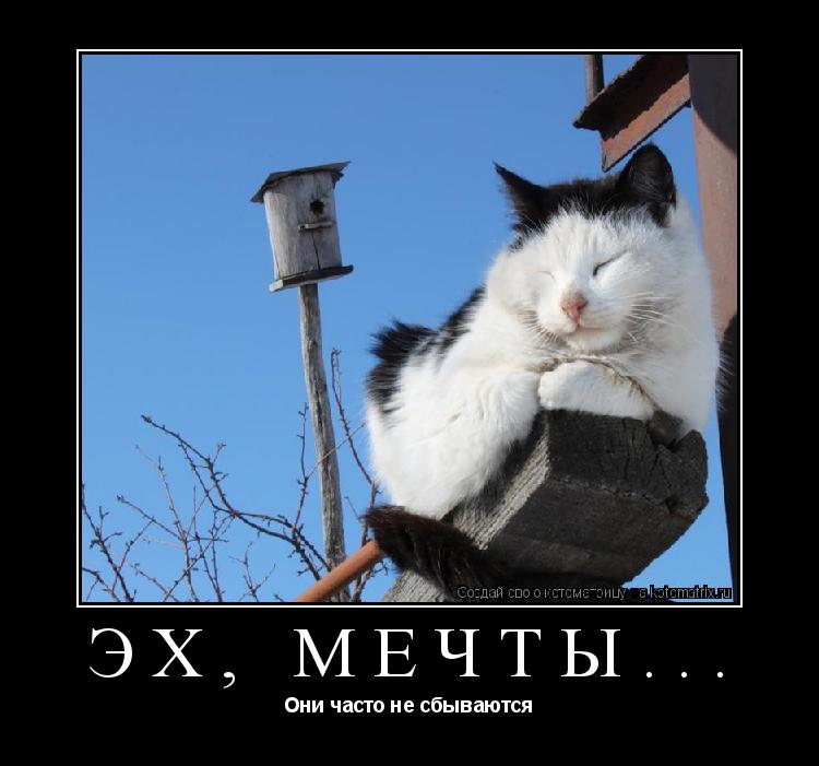 Эх, мечты... Они часто не сбываются... Котоматрица: Эх, мечты... Они часто не сбываются