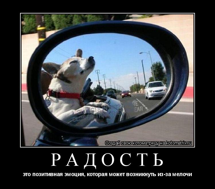 Радость это позитивная эмоция, которая может возникнуть из-за мелочи... Котоматрица: Радость это позитивная эмоция, которая может возникнуть из-за мелочи