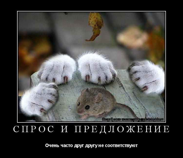СПРОС И ПРЕДЛОЖЕНИЕ Очень часто друг другу не соответствуют... Котоматрица: СПРОС И ПРЕДЛОЖЕНИЕ Очень часто друг другу не соответствуют