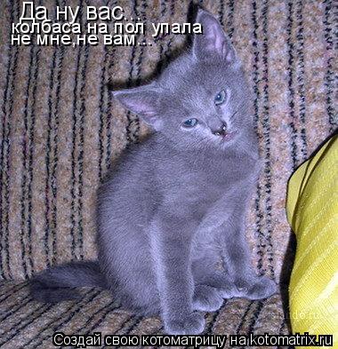 Да ну вас... колбаса на пол упала не мне,не вам...... Котоматрица: Да ну вас... колбаса на пол упала не мне,не вам...